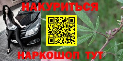прущая мука Гай