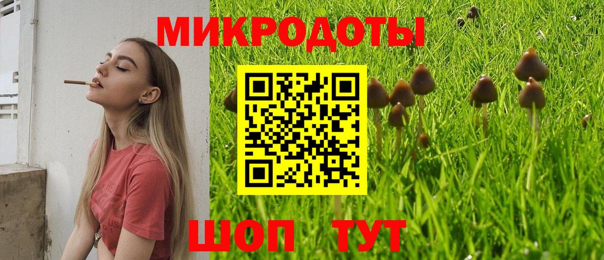 наркотики  Псилоцибиновые грибы прущие грибы  Вход с VPN  Петровск 