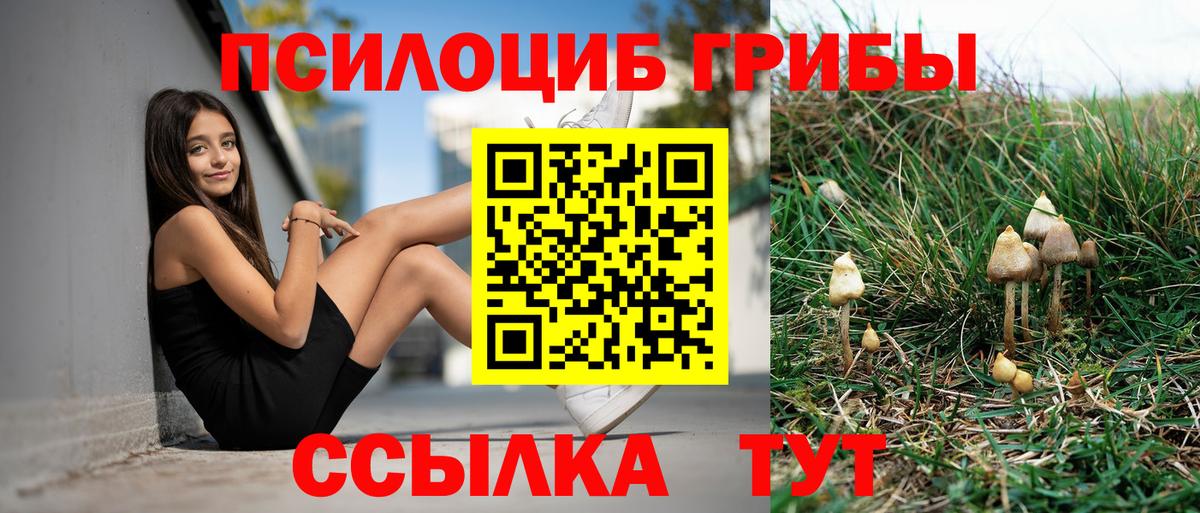 Галлюциногенные грибы мухоморы Петровск
